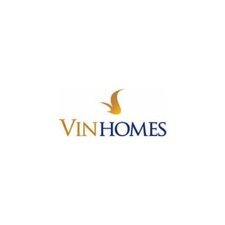 vinhome  group