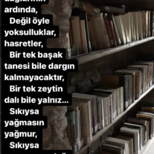 Hülya Kakaç