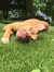 Amy