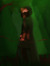 Nomeda