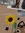 vanda (zyezz) | 3 comments