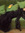 member photo member photo