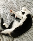 Mimi