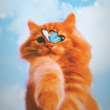 Reem Deyab &#x1f98b;