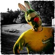 Shaun