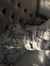 Liepa Leo
