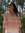 Andreia Alhais