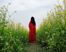 অনিন্দিতা ঘোষ