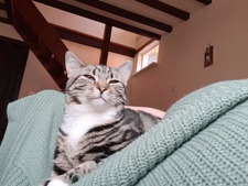 Emily