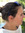 Isaline Van Tornhaut