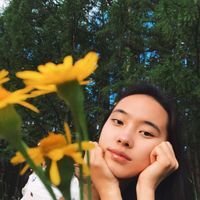 Алтансүх Мишээхнаран