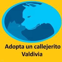 Adopta Un