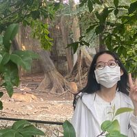 Đỗ Quỳnh