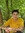 Jayvee Faust (uhitsjayvee) | 1 comments