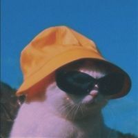 اميرة البحيري