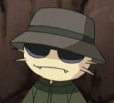 Cote &#x1f33b;&#x1f33b;&#x1f33b;