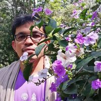 ถลา นิติกร นอนดึก