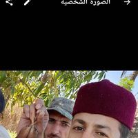 ايمن سالم الزغيبى