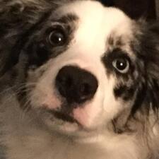D.P.