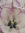 Teri B | 5 comments