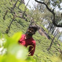 Krishna Krishna