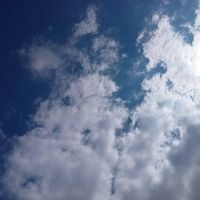 أبوبكر صديق