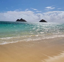 Carolee and Dennis Fagent