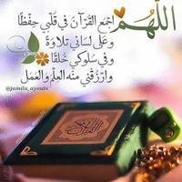 محمد ابوالوفا