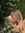 ava ❥ (avvvvvva) | 1 comments