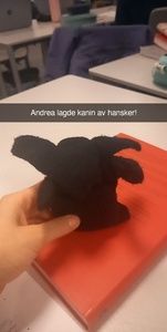 Torunn