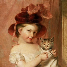 ˚✧₊ shaina ☆*:.｡