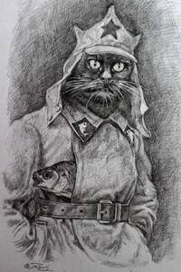 крот новичок