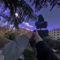 إسلام الباز