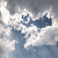 গুলশান আরা