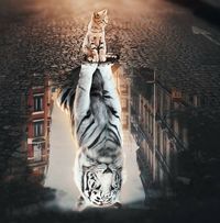 Λένα Μενεξή