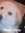 zeca