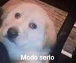 zeca
