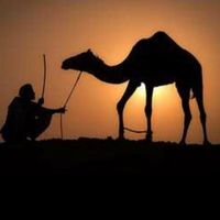 ابو مطلوق اليمينا