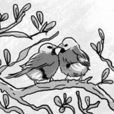 Mia ⊹☾⋆⁺₊✩°｡