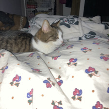 Synne Gjerding Smith