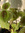 member photo member photo