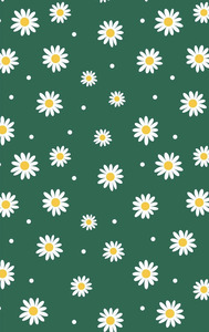 midori