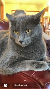Terri 
