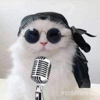 مصطفى مصطفى