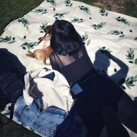 Δάφνη Κλήτσα