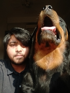 Paras Chaudhary