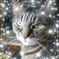 Lance Spruce-Jarrett