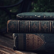 Just_a_chaotic_reader