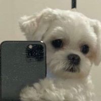 恩 淇