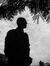 Hossam ...